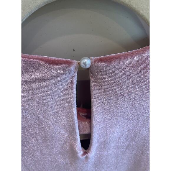 WAYF Women's Pink Velvet Suede Cocktail Mini Dress Size‎ XS - Picture 5 of 6